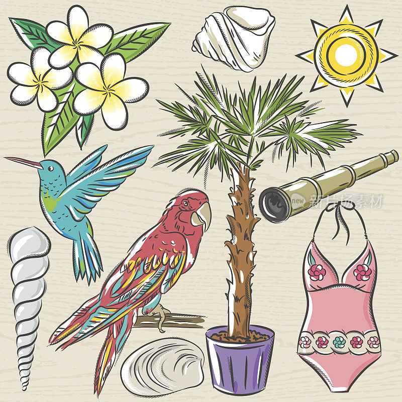 Set of  summer symbols, swim suit, parrot, Hummingbird, palm tree, flowers on a beige  grunge background, vector illustration